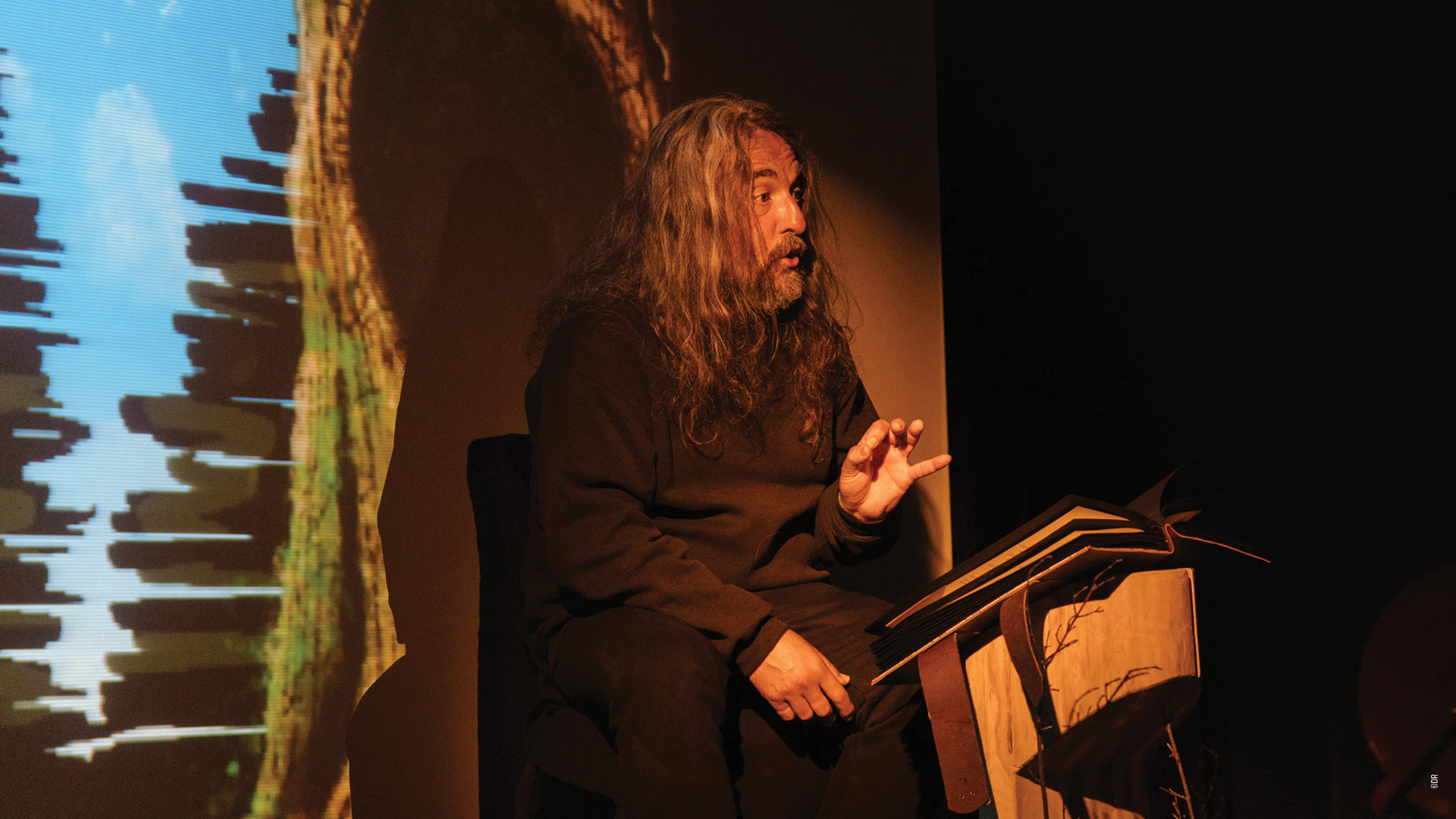 Il était un bois – Festival Les Forestivités